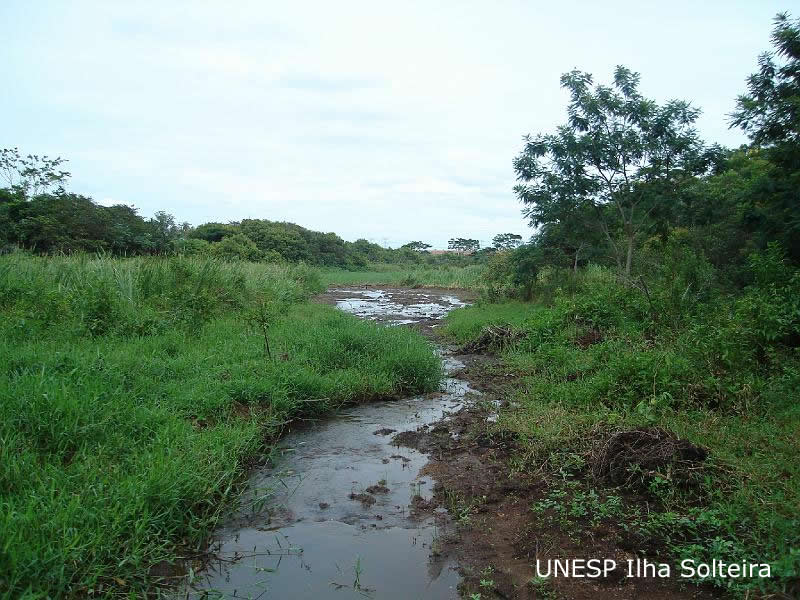 unesp_pos_2009 (35).JPG